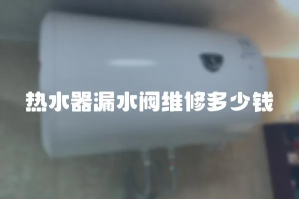 熱水器漏水閥維修多少錢