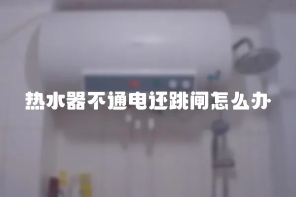 熱水器不通電還跳閘怎么辦