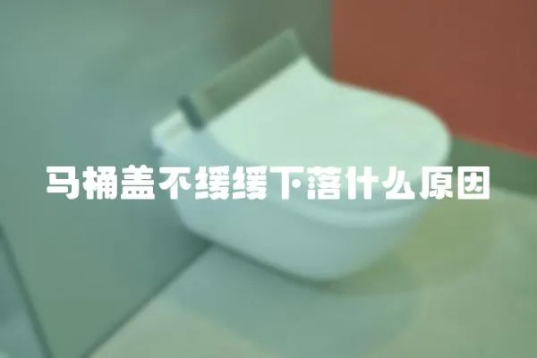 馬桶蓋不緩緩下落什么原因