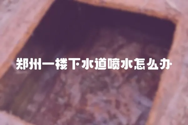 鄭州一樓下水道噴水怎么辦