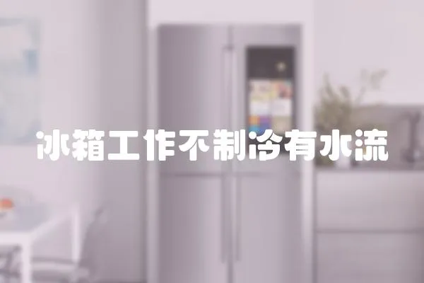 冰箱工作不制冷有水流