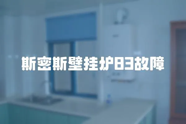 斯密斯壁掛爐83故障