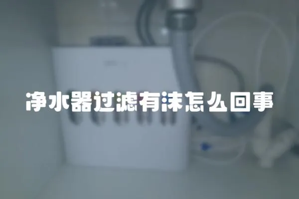 凈水器過濾有沫怎么回事