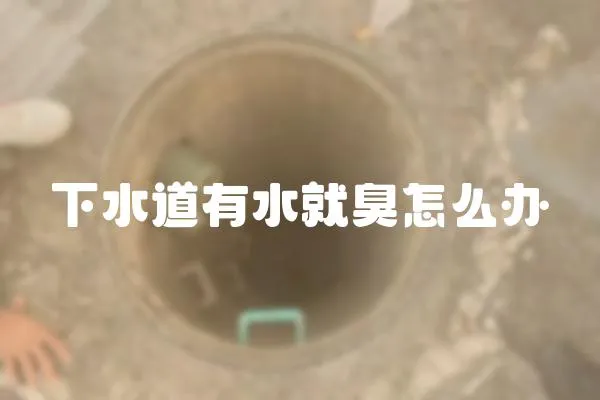 下水道有水就臭怎么辦