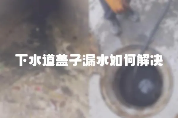 下水道蓋子漏水如何解決