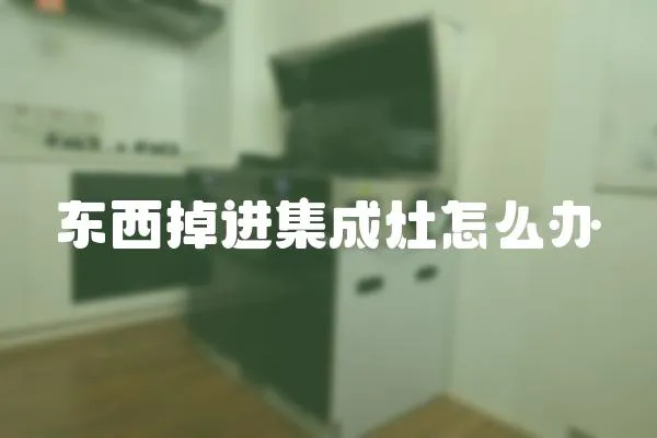 東西掉進集成灶怎么辦