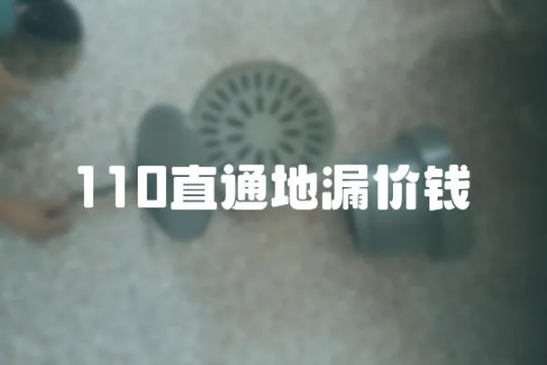 110直通地漏價錢