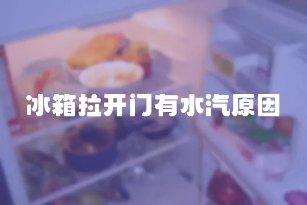 冰箱拉開門有水汽原因