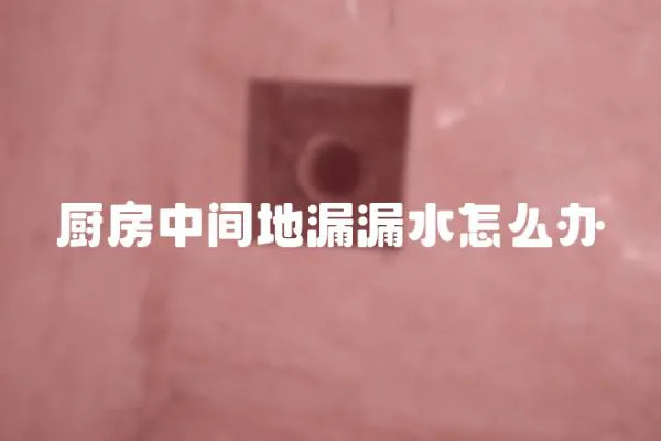 廚房中間地漏漏水怎么辦