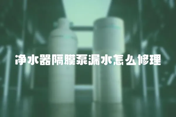 凈水器隔膜泵漏水怎么修理