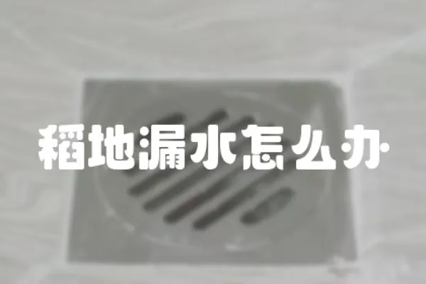 稻地漏水怎么辦