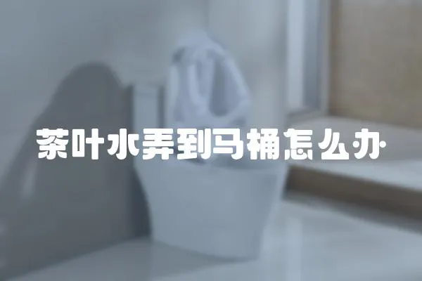 茶葉水弄到馬桶怎么辦