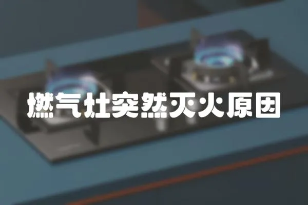 燃?xì)庠钔蝗粶缁鹪?></a></div>
                    <div   id=