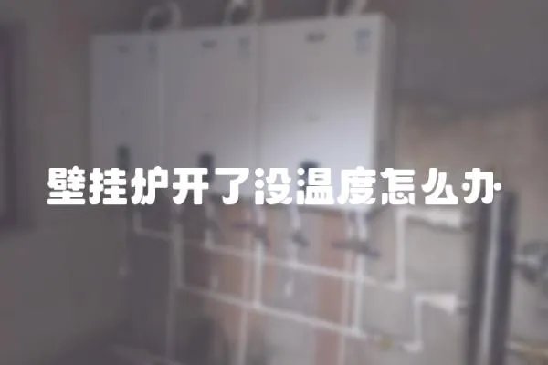 壁掛爐開了沒溫度怎么辦