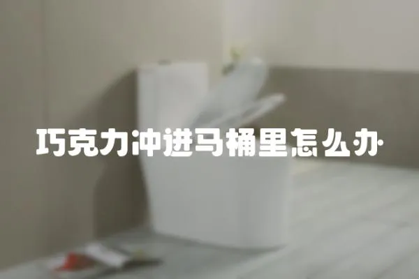 巧克力沖進馬桶里怎么辦