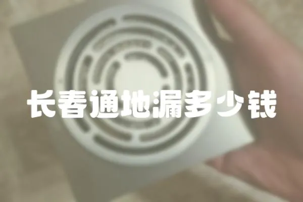 長春通地漏多少錢