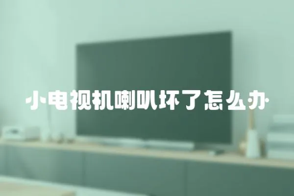 小電視機喇叭壞了怎么辦