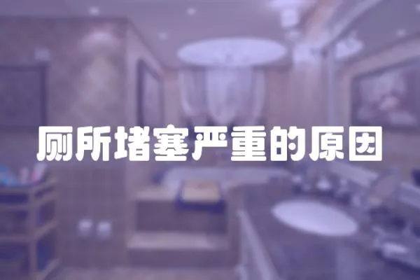 廁所堵塞嚴重的原因