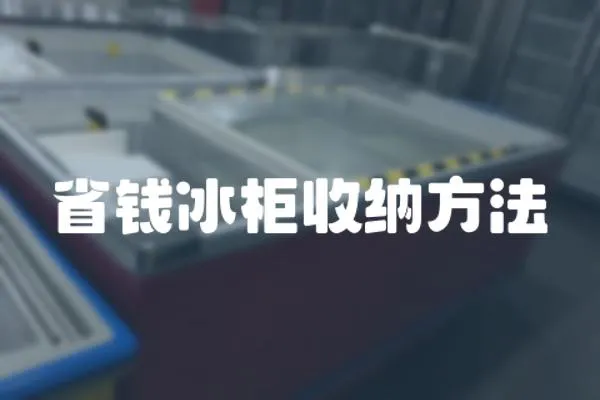 省錢冰柜收納方法