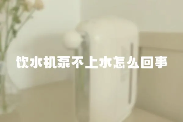 飲水機泵不上水怎么回事