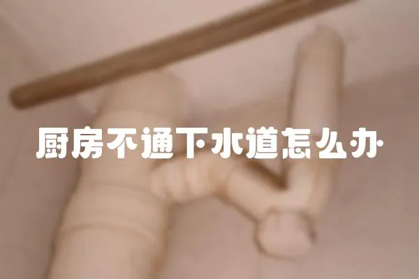 廚房不通下水道怎么辦
