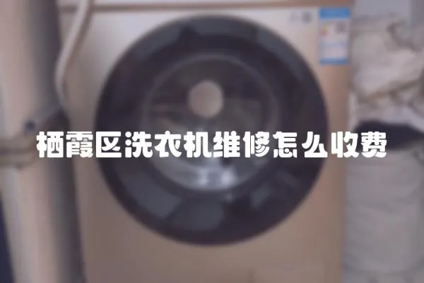 棲霞區(qū)洗衣機(jī)維修怎么收費(fèi)