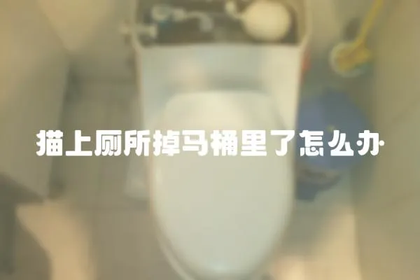 貓上廁所掉馬桶里了怎么辦