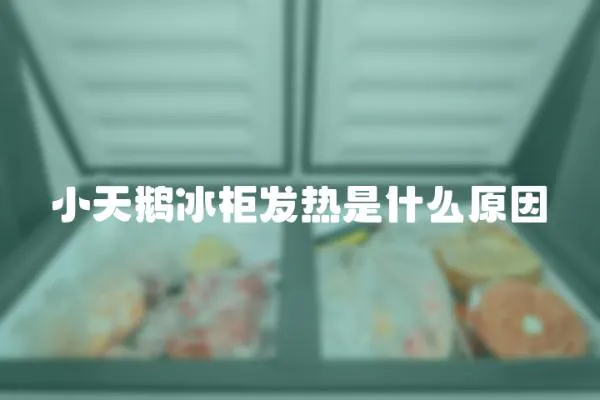 小天鵝冰柜發(fā)熱是什么原因