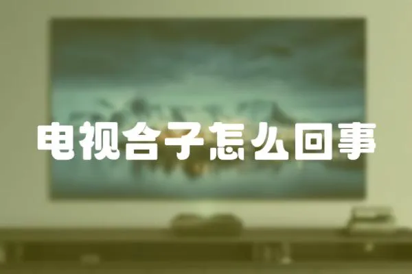 電視合子怎么回事