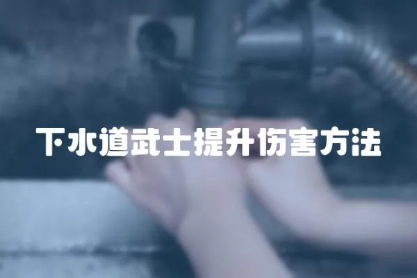 下水道武士提升傷害方法