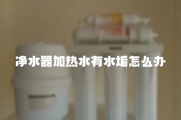 凈水器加熱水有水垢怎么辦