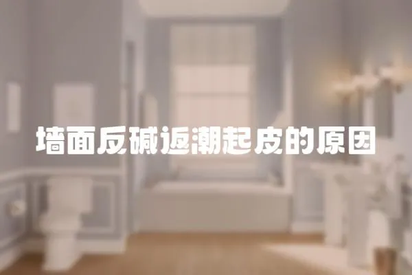 墻面反堿返潮起皮的原因