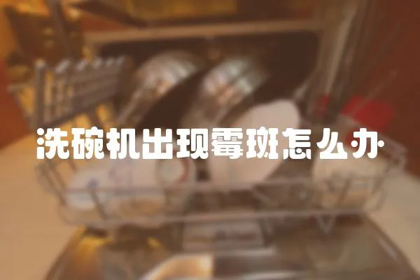 洗碗機出現霉斑怎么辦