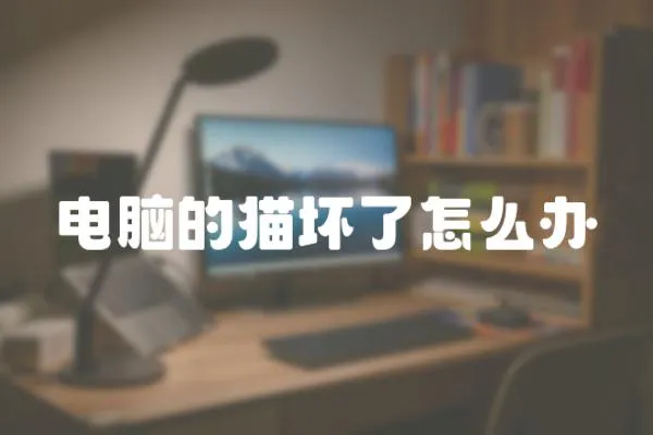 電腦的貓壞了怎么辦