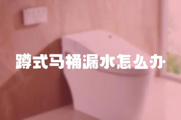 蹲式馬桶漏水怎么辦