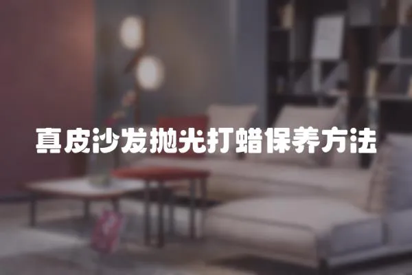 真皮沙發拋光打蠟保養方法