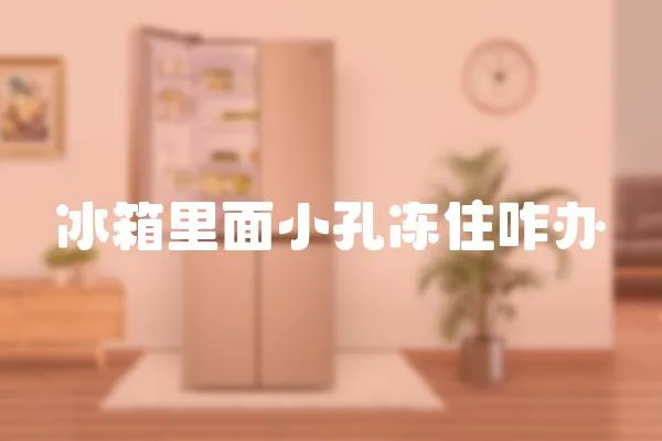 冰箱里面小孔凍住咋辦