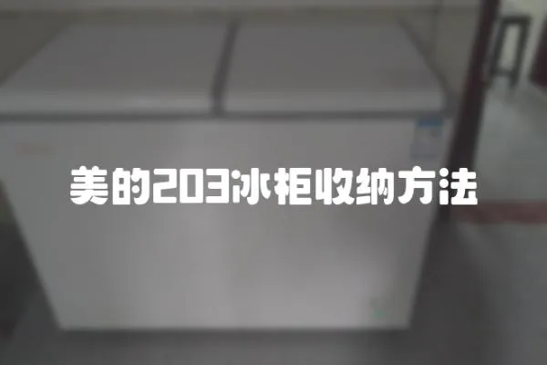 美的203冰柜收納方法