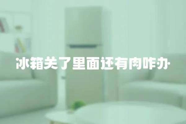 冰箱關了里面還有肉咋辦