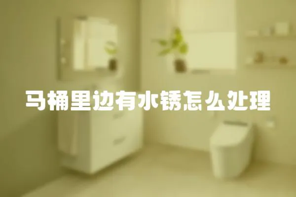 馬桶里邊有水銹怎么處理