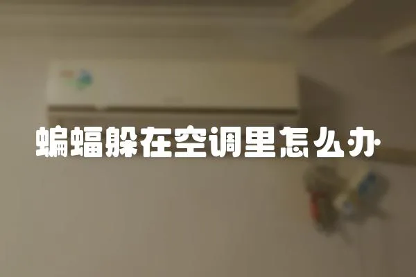 蝙蝠躲在空調里怎么辦