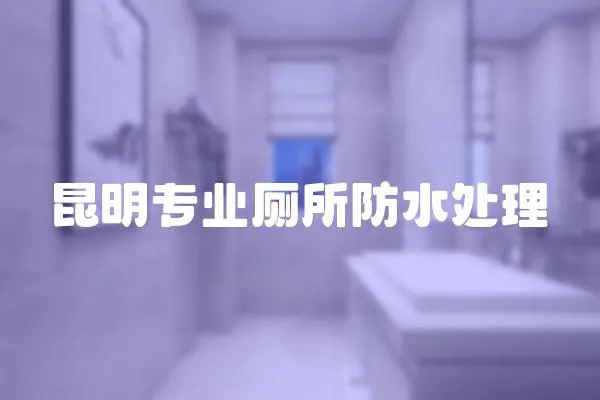 昆明專業廁所防水處理