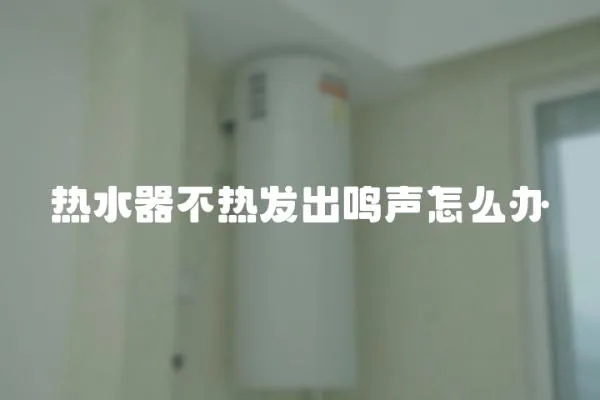 熱水器不熱發出鳴聲怎么辦