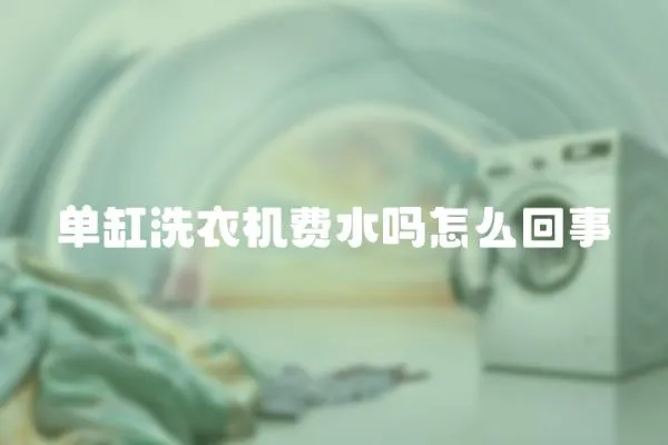 單缸洗衣機費水嗎怎么回事