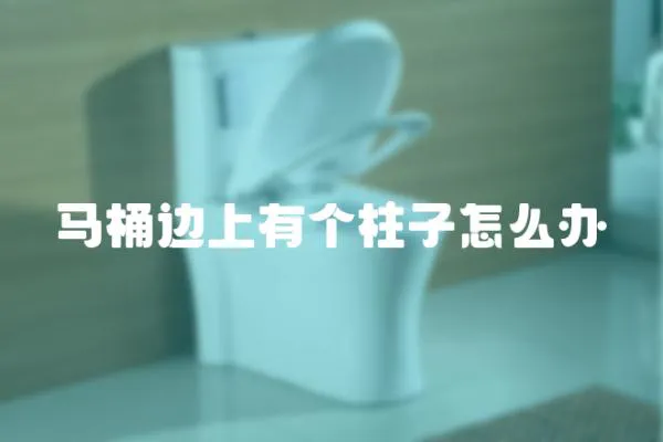 馬桶邊上有個柱子怎么辦