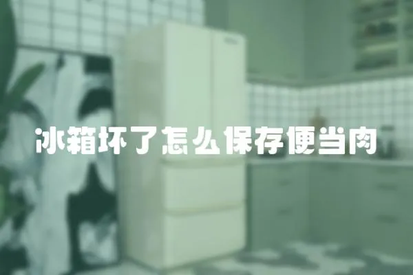 冰箱壞了怎么保存便當肉