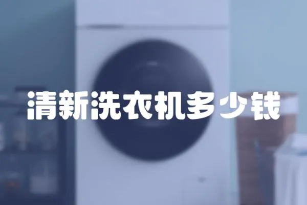 清新洗衣機多少錢