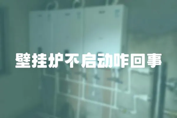 壁掛爐不啟動咋回事