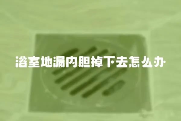 浴室地漏內膽掉下去怎么辦