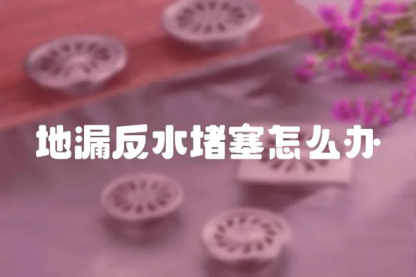 地漏反水堵塞怎么辦